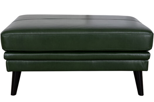 Lauren Ottoman